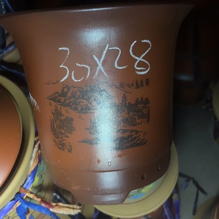 周深周深周深周深周深
