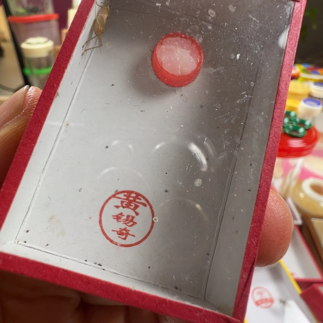 蟋蟀两只黄老师中黄漂亮