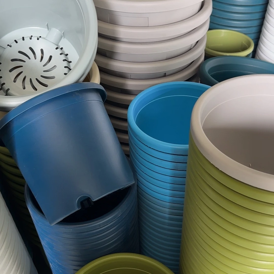 树脂四季7号果绿无托3个