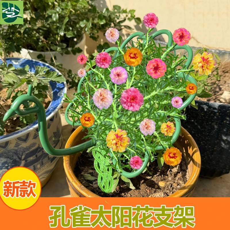 新款太阳花架孔雀造型花架阳台花卉支撑架太阳花专用固定花架子