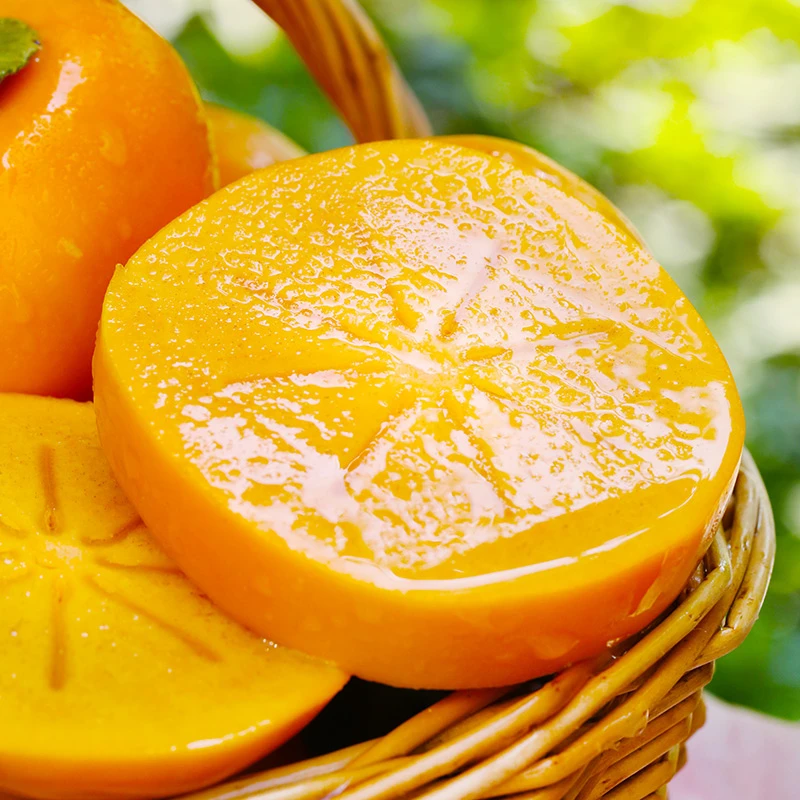 【阳丰脆柿】甜脆柿新鲜应季水果硬杮子4.5斤装 S