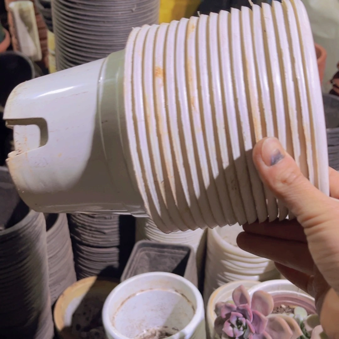 塑料旧15公分白圆盆30个