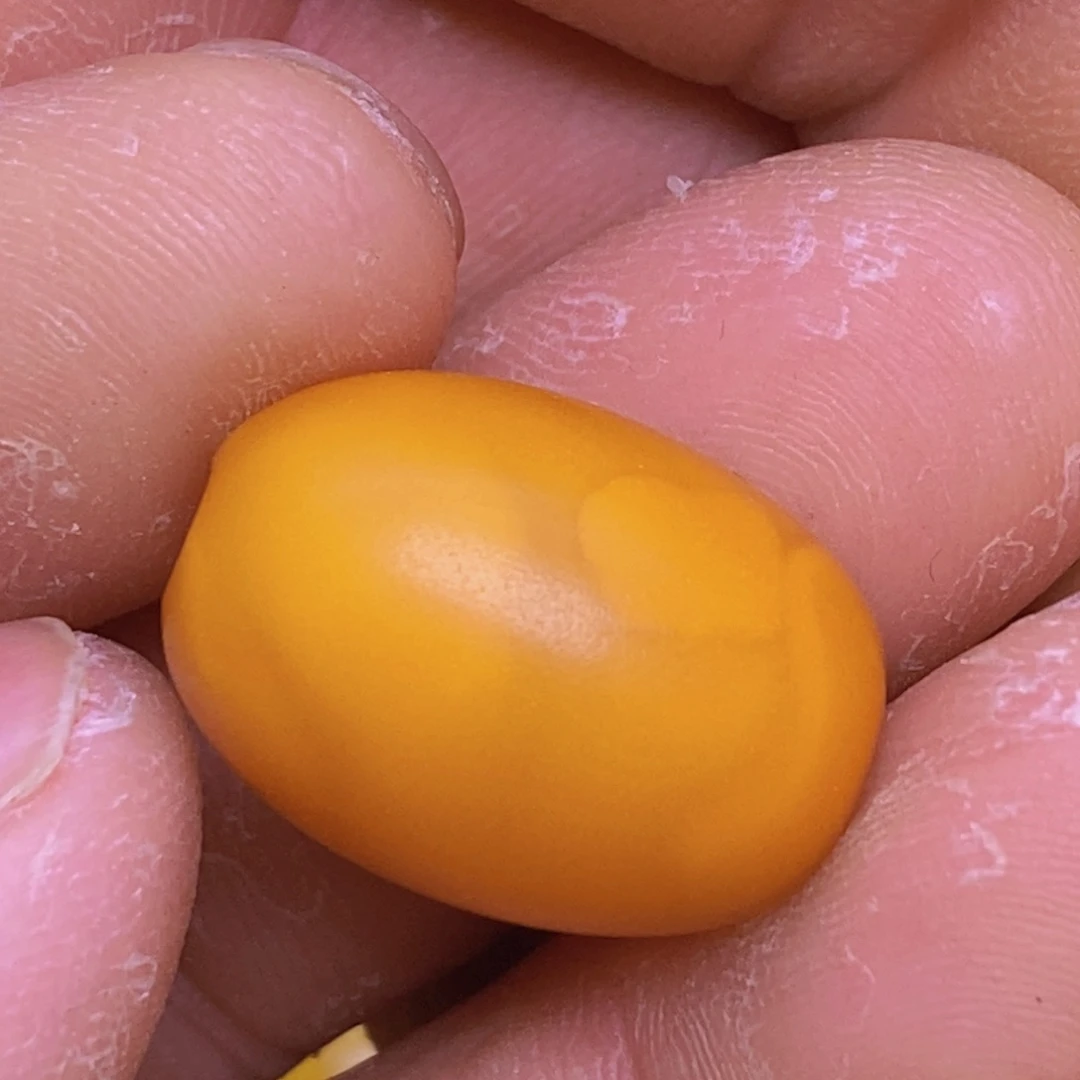 未镶嵌蜜蜡珠宝奇石