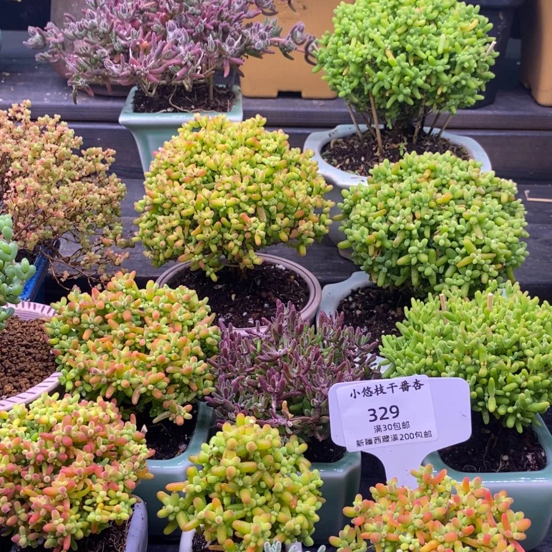 时**味保温箱。