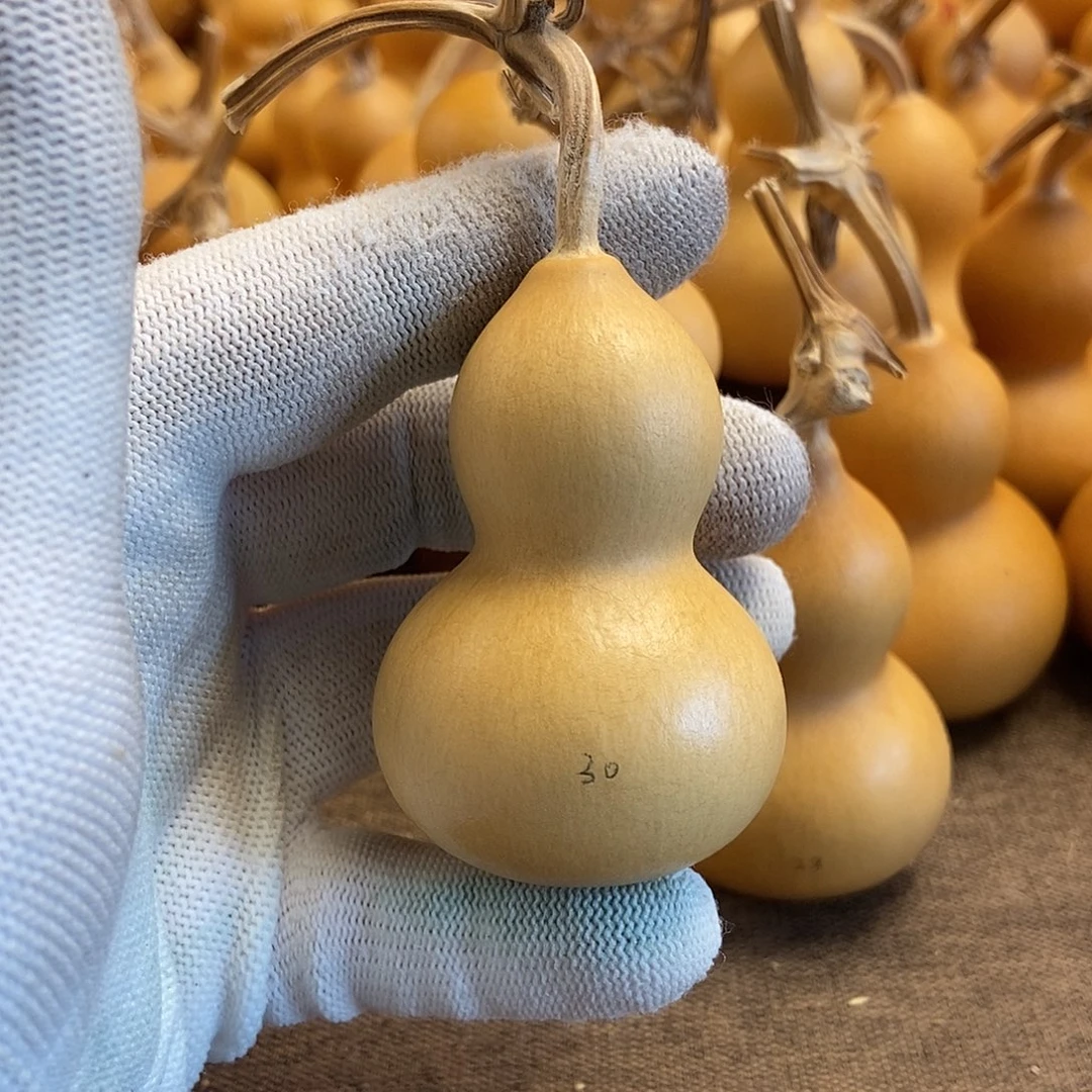 文玩葫芦 完美主义者 慎拍30