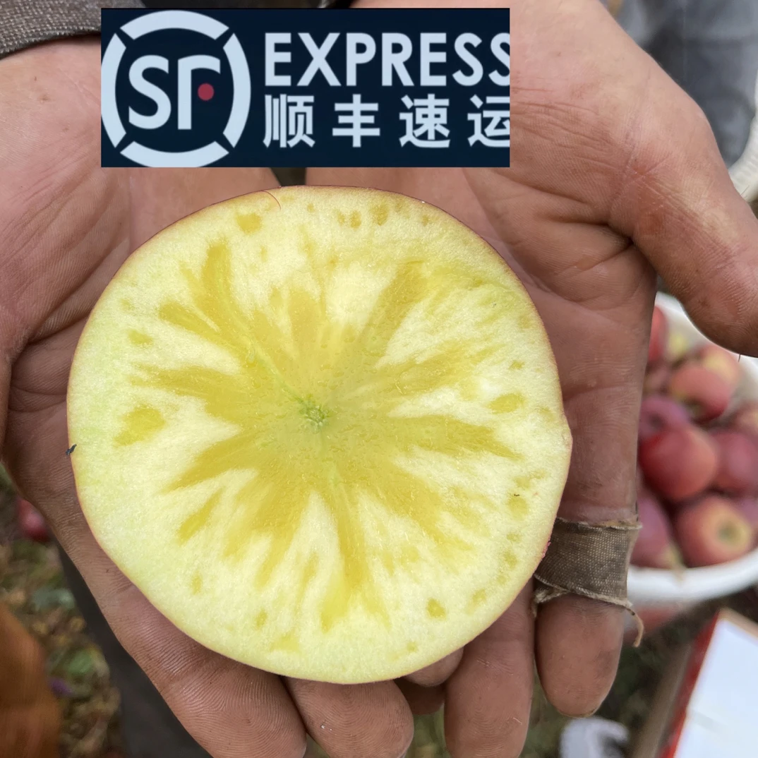 【顺丰快递】大凉山糖心丑苹果5斤8斤（9甜1酸个人口感）越放越甜