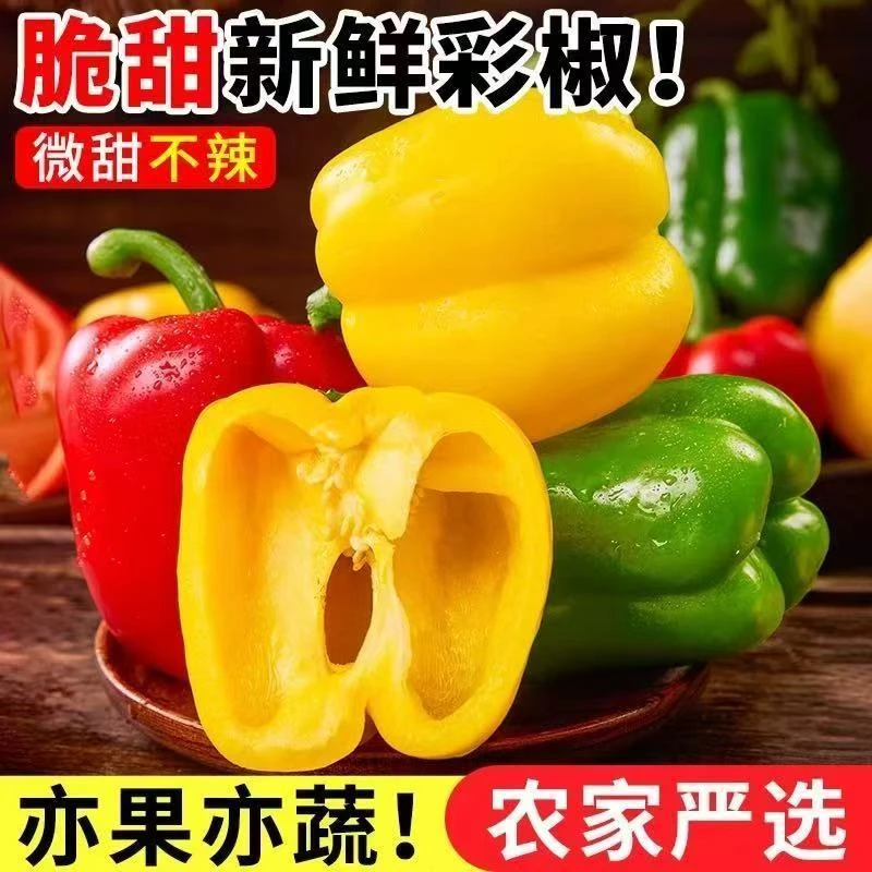 山东新鲜水果五彩椒太空椒生吃不辣