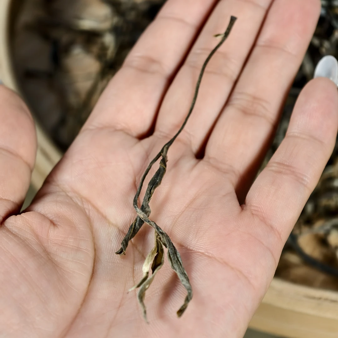 勐海班章村2024年（老班章古树）普洱生茶散500克/份