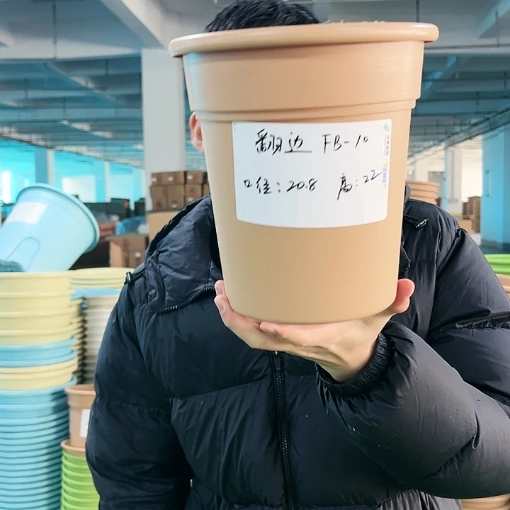 正品翻边口21高22卡其色无托6只