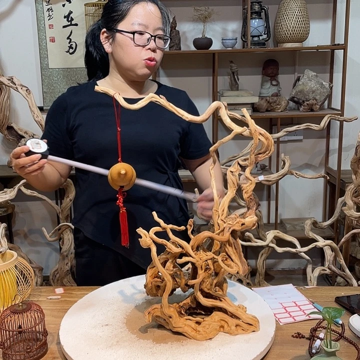 香榧木杜鹃根根艺摆件10