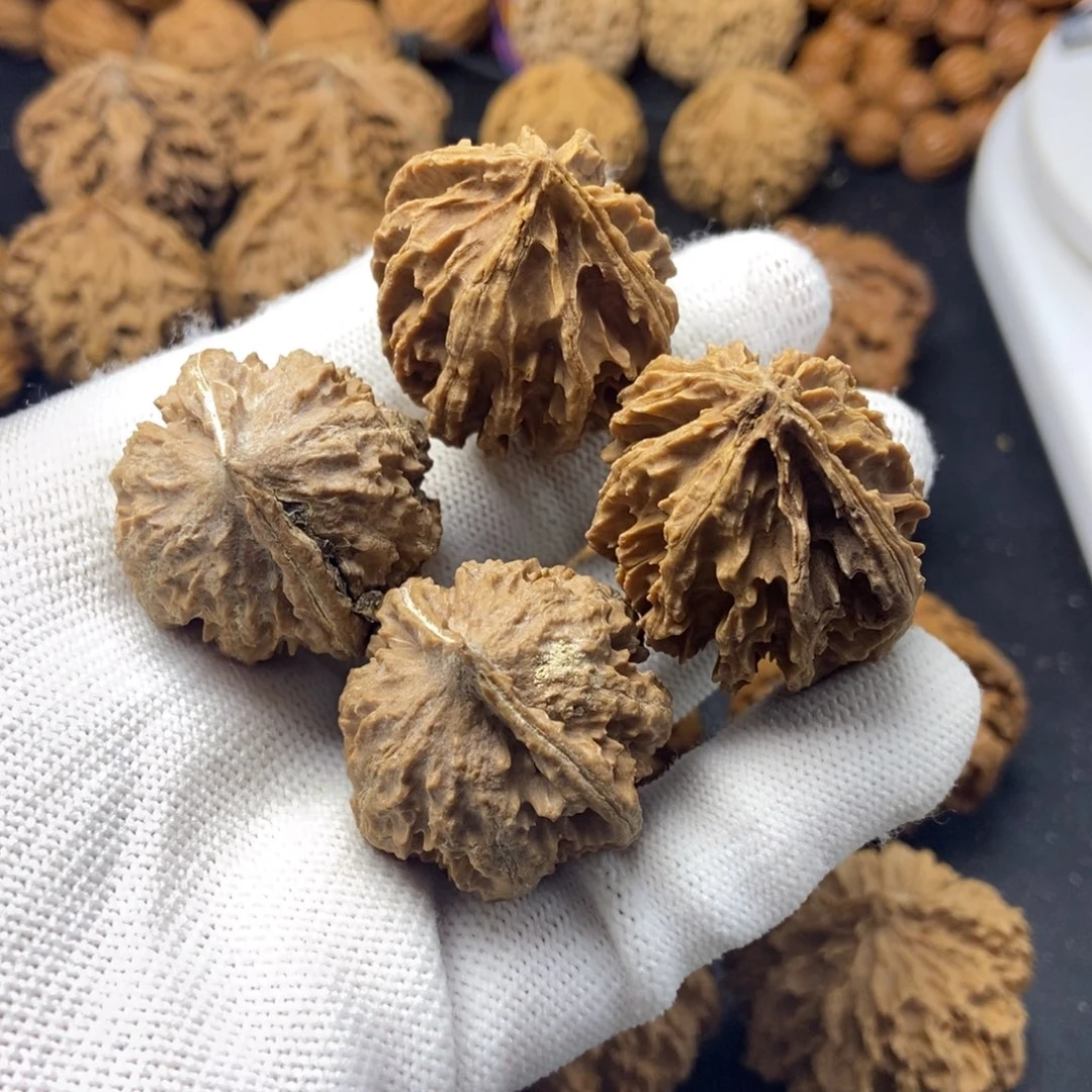 桃核把件秦岭核桃小手捻