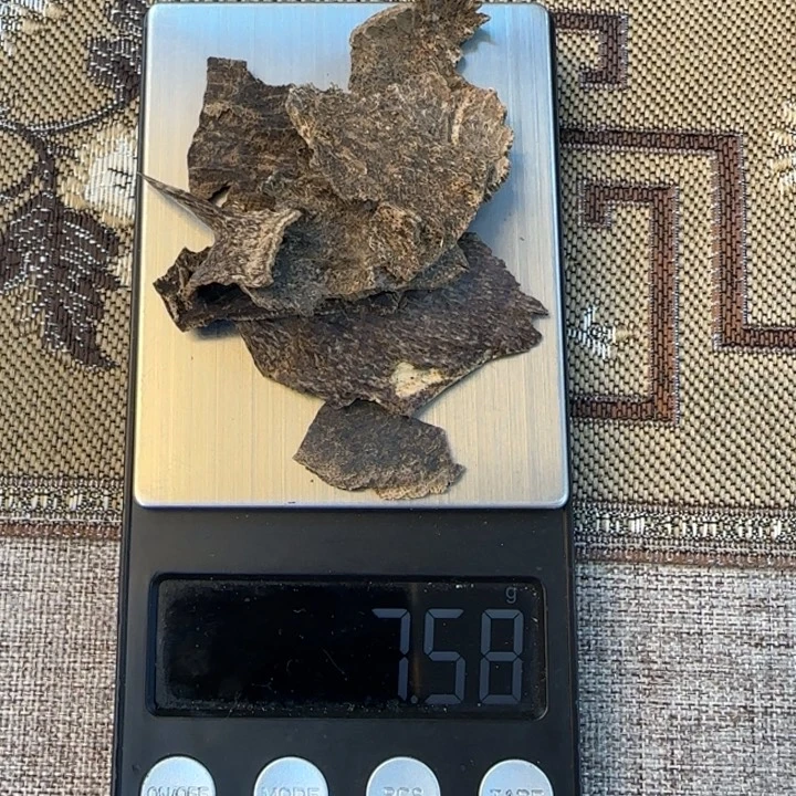 沉香摆件海南野生东方包头7.5克