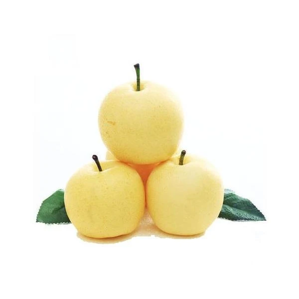 【五泉精选】兰州软儿梨礼盒送人装5000g