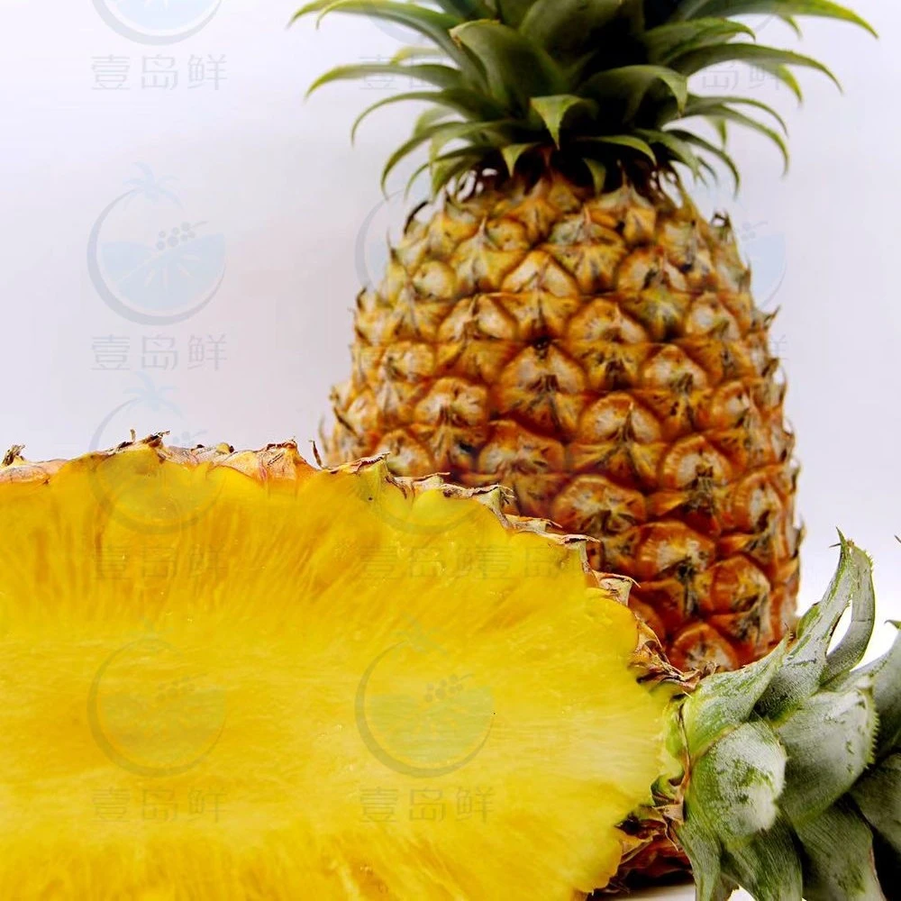 源蜜果树熟凤梨一个3斤左右