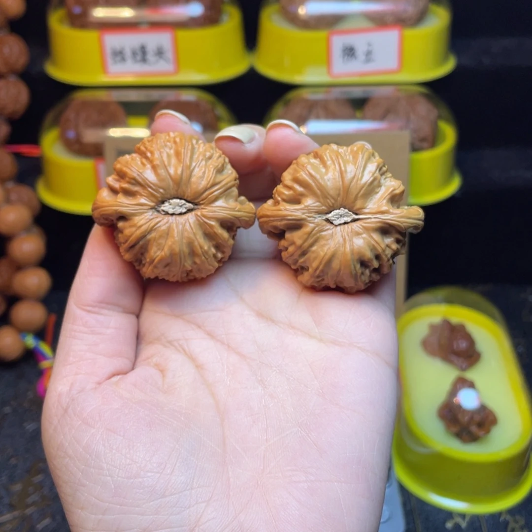 文玩核桃把件白狮子41