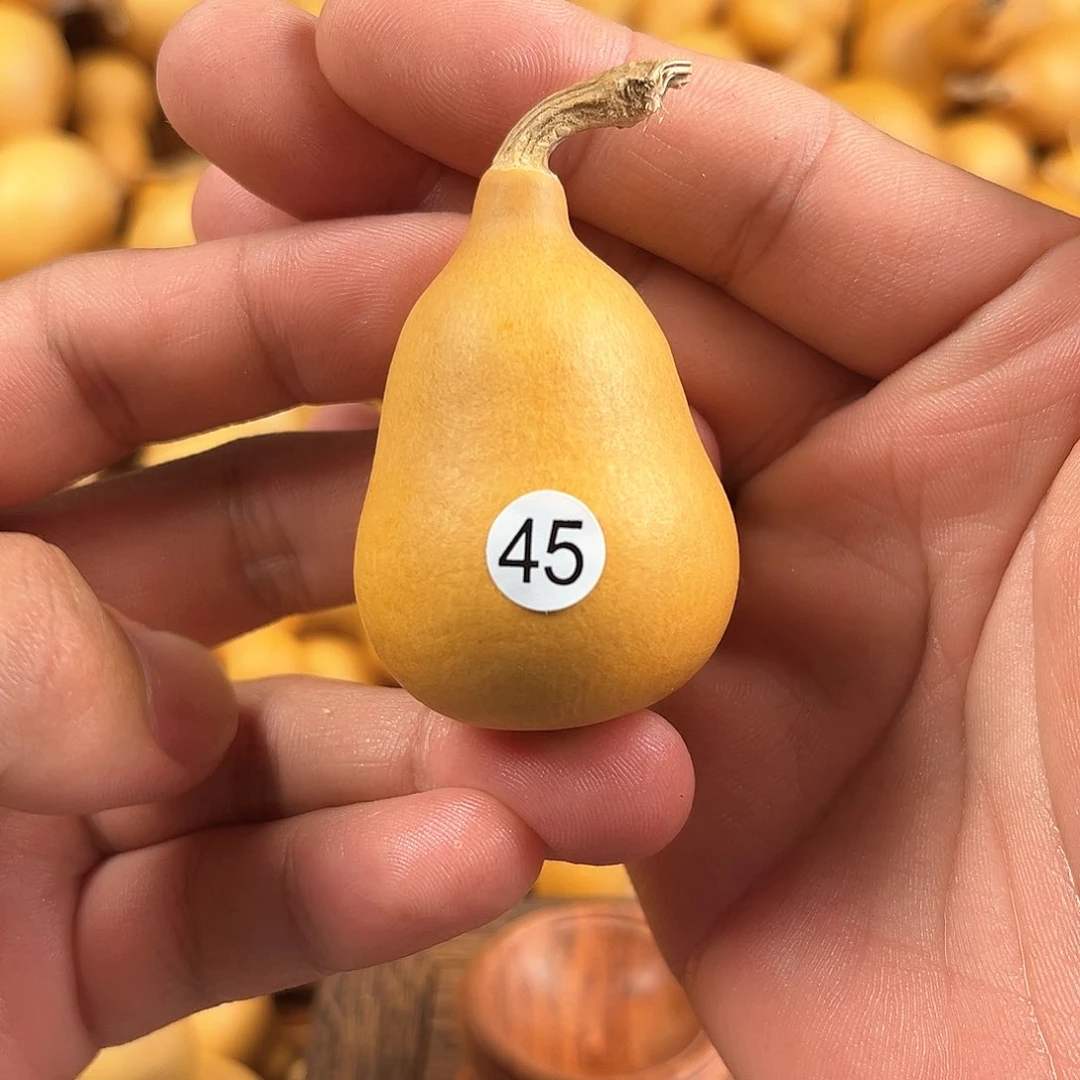 二葫芦葫芦葫芦葫芦45