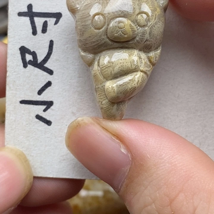 硅化珊瑚（珊瑚玉）未镶嵌颈饰