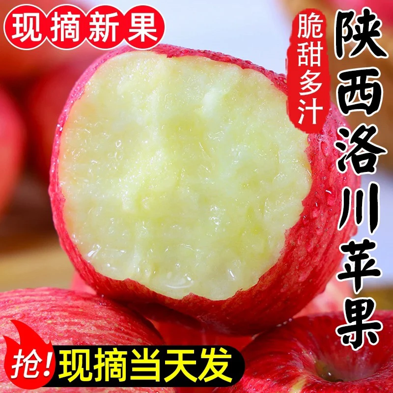 【产地直发】陕西洛川红富士苹果4.5斤/8.5斤脆甜多汁