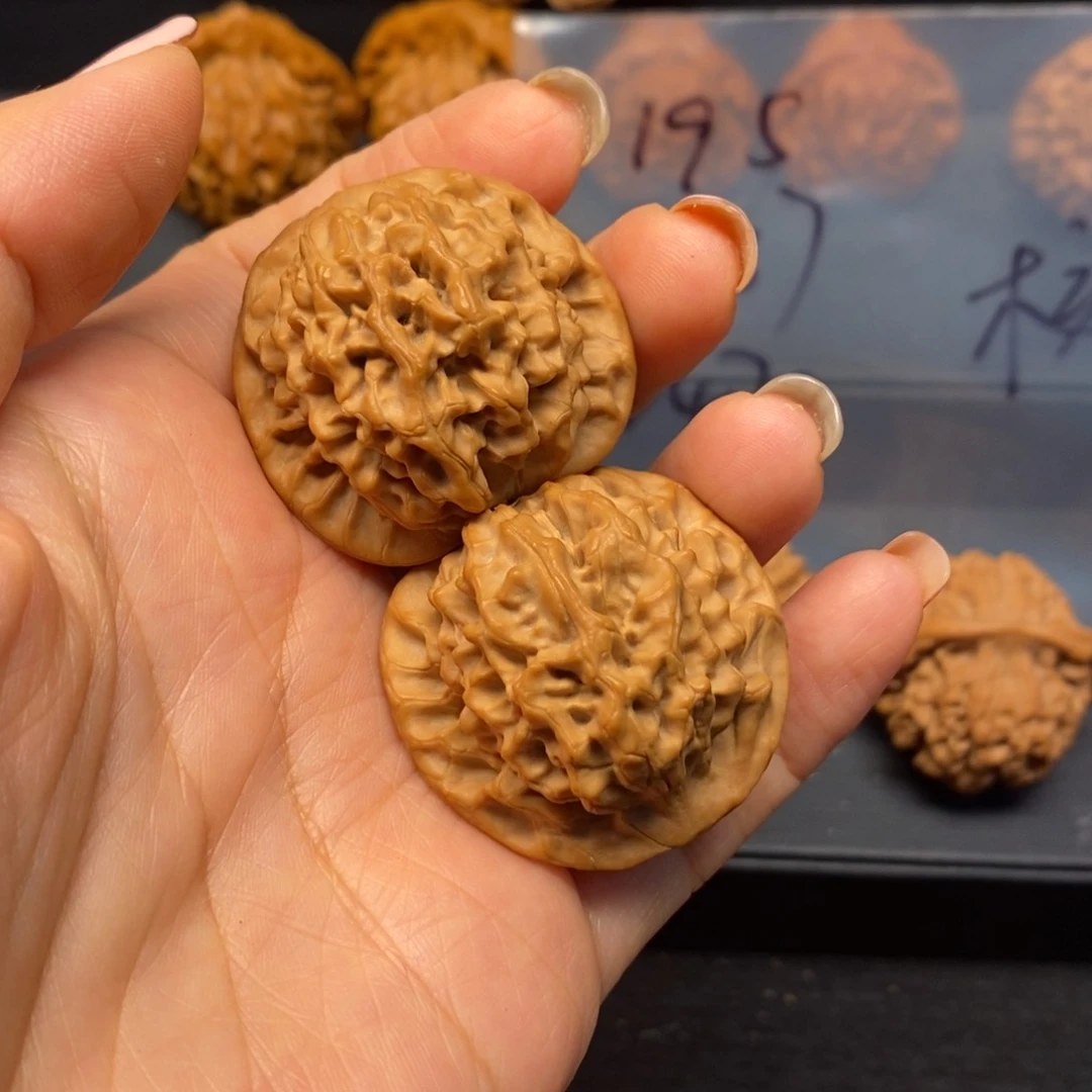 废***王核桃手串/手链秦岭南北缘和秦岭西北部有