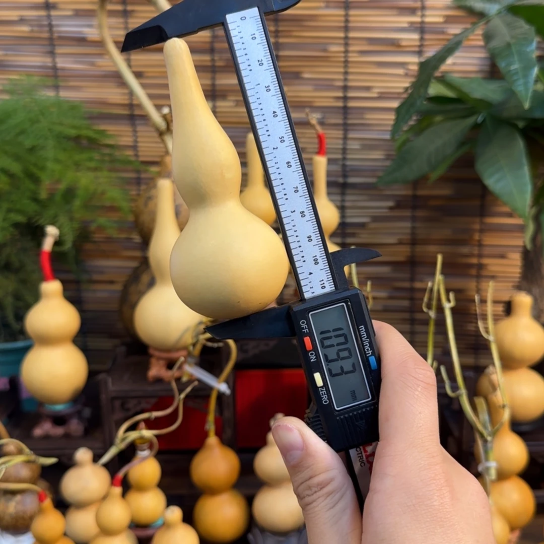 龙***钢啊啊啊啊啊啊啊啊啊