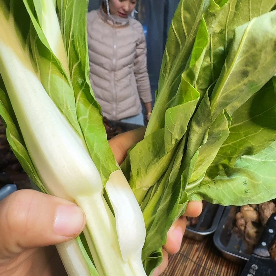 零***零白菜中国大陆青菜