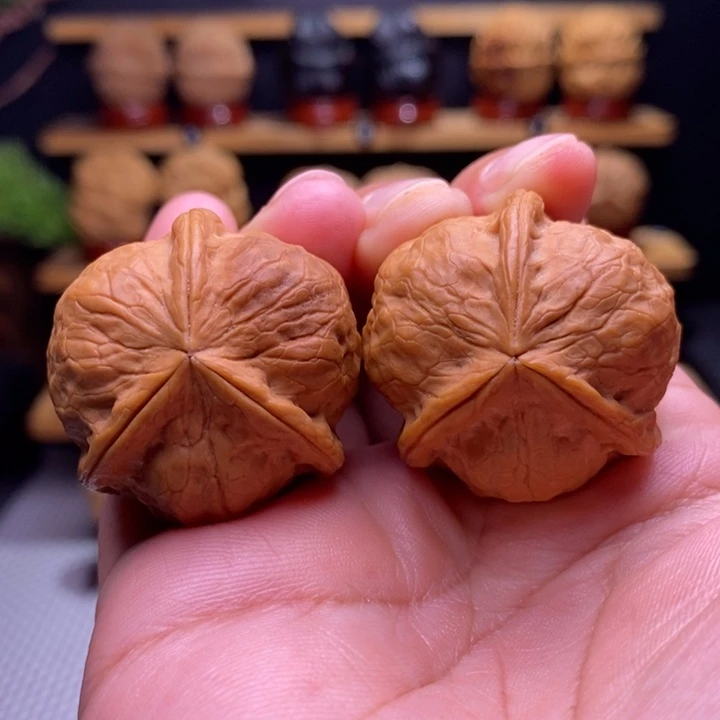 木质类云铁甲壳虫三棱13号