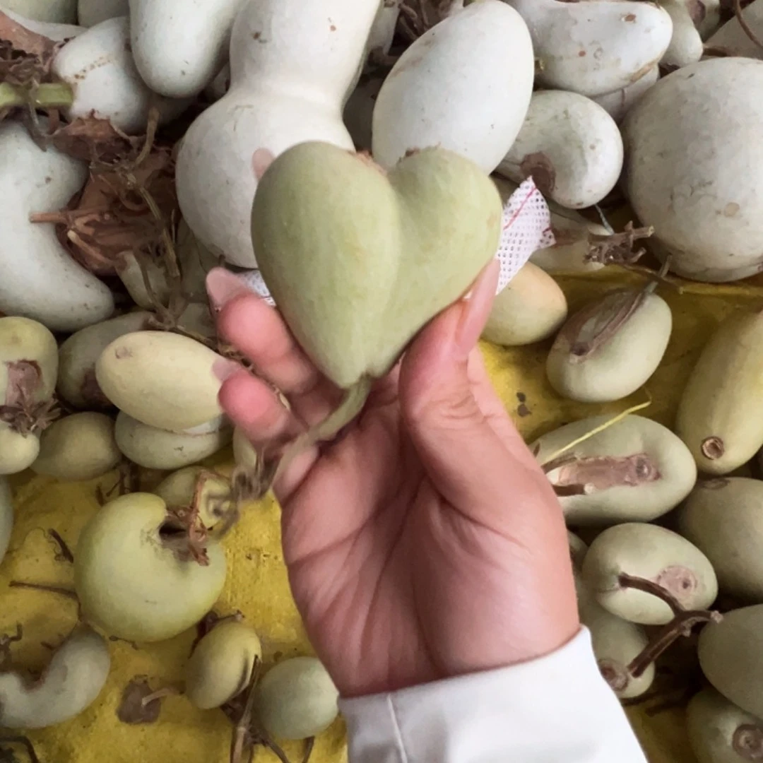 乐***吕懂了吧你懂了吧我懂了吧好吧我懂