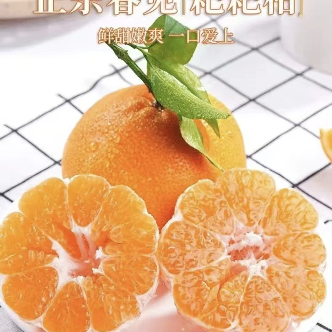 眉山耙耙柑爽口爆汁老人小孩孕妈妈都喜欢的当季水果