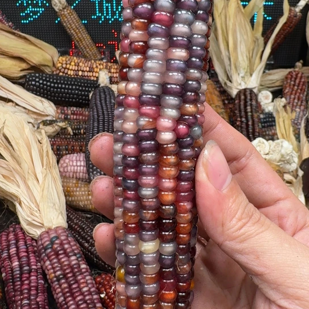 柏香籽/百香籽吊坠x*x