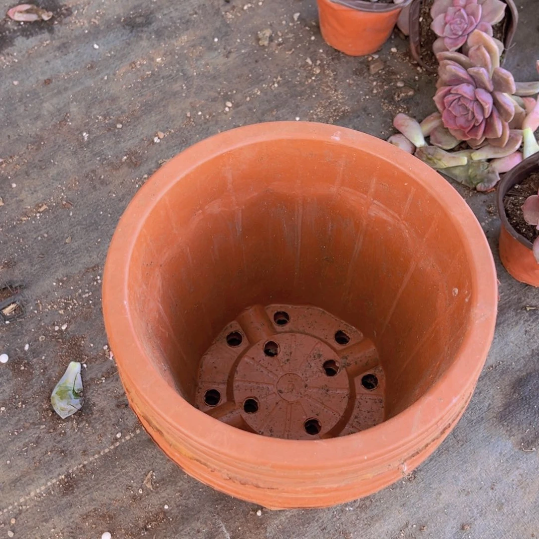 塑料旧20公分红砖盆 20个。高17 公分