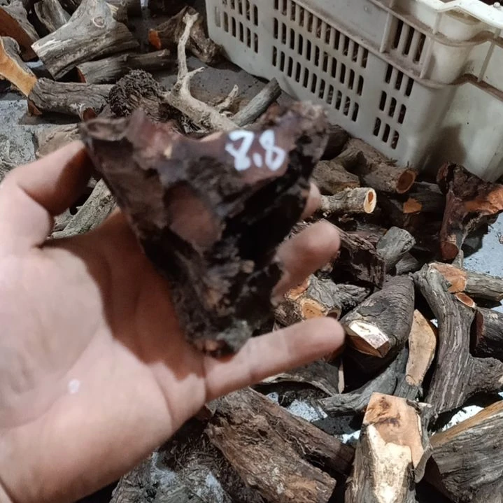 小***Q大果紫檀（缅甸花梨）