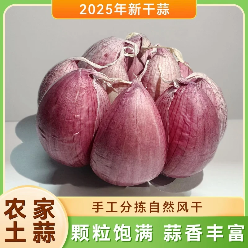 【五斤大果】A十成干蒜头农家自种香蒜土蒜风干紫皮蒜辣味十足3/5斤