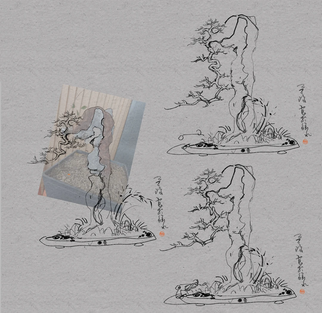 盆景造型设计教学