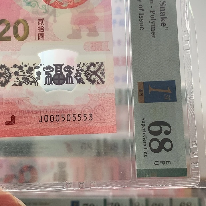 塑料小司令双豹子，035