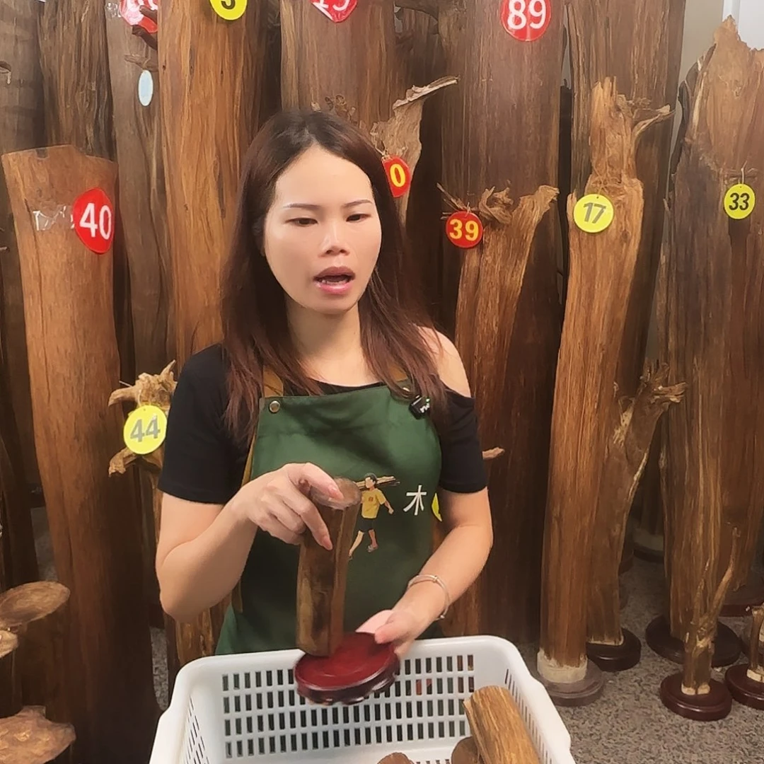 沉香碎屑沉香天然沉香原木原材料