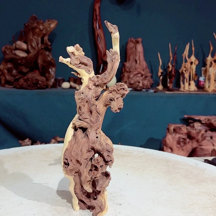 黑果木米*鼠391金丝红木羊蹄甲半成品单价