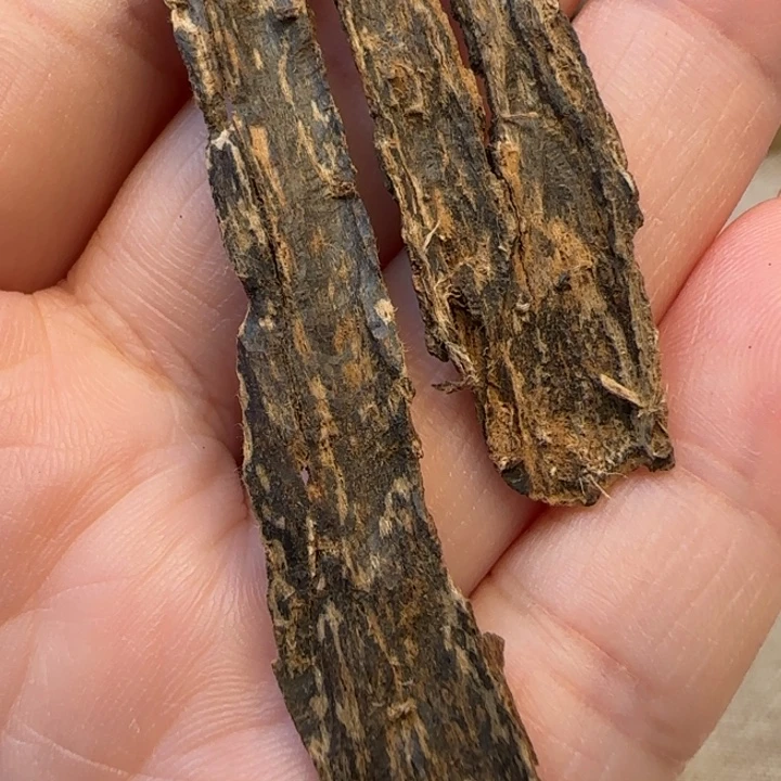 沉香摆件海南野生皮油1.8克
