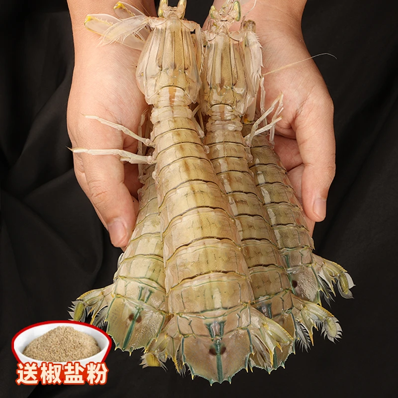 1特大1超大       天然野生皮皮虾 濑尿虾爬爬虾鲜活蒸煮发货