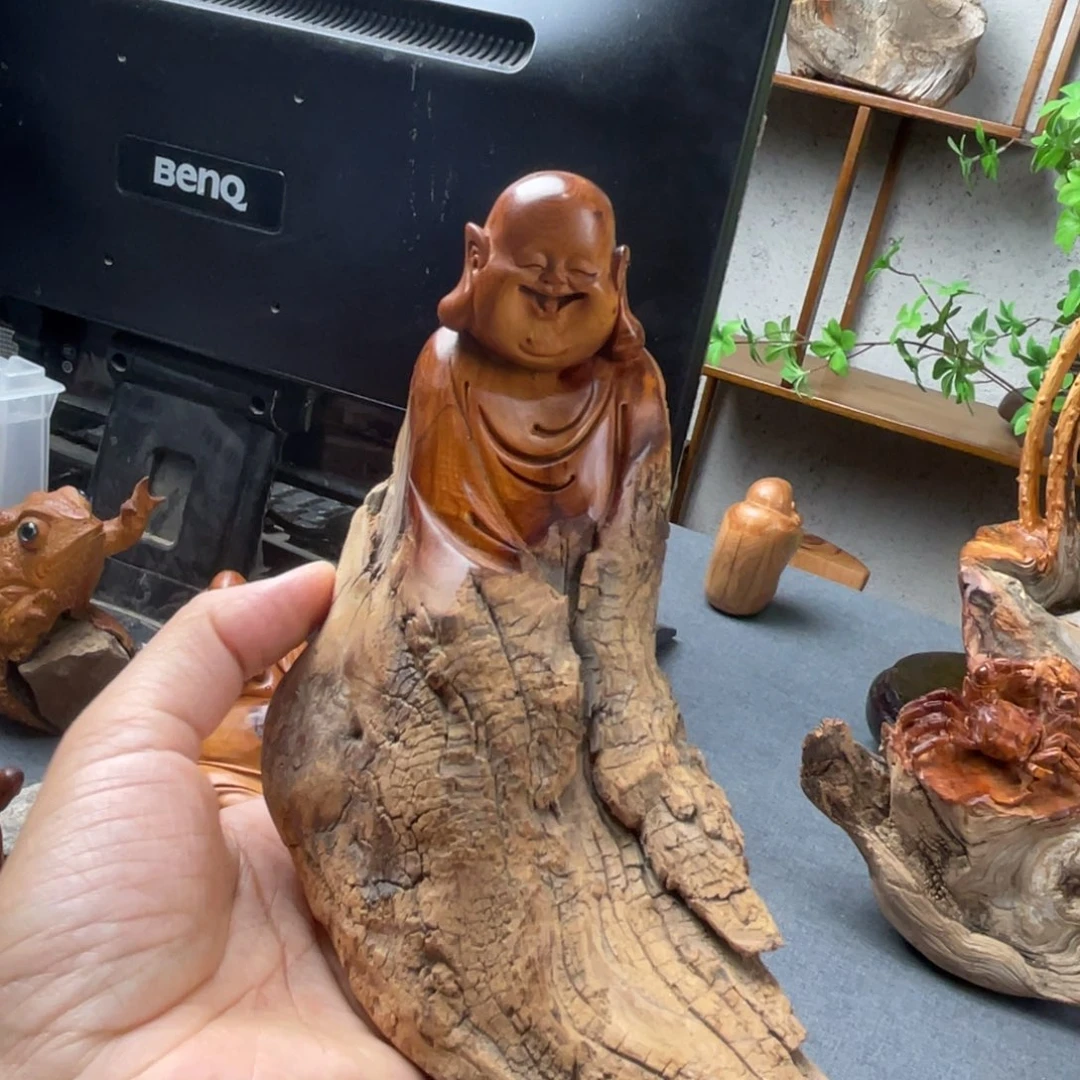 柏木（崖柏）崖柏太行山脉