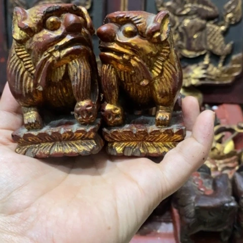 贝壳杉绵****军非物质文化遗产保护