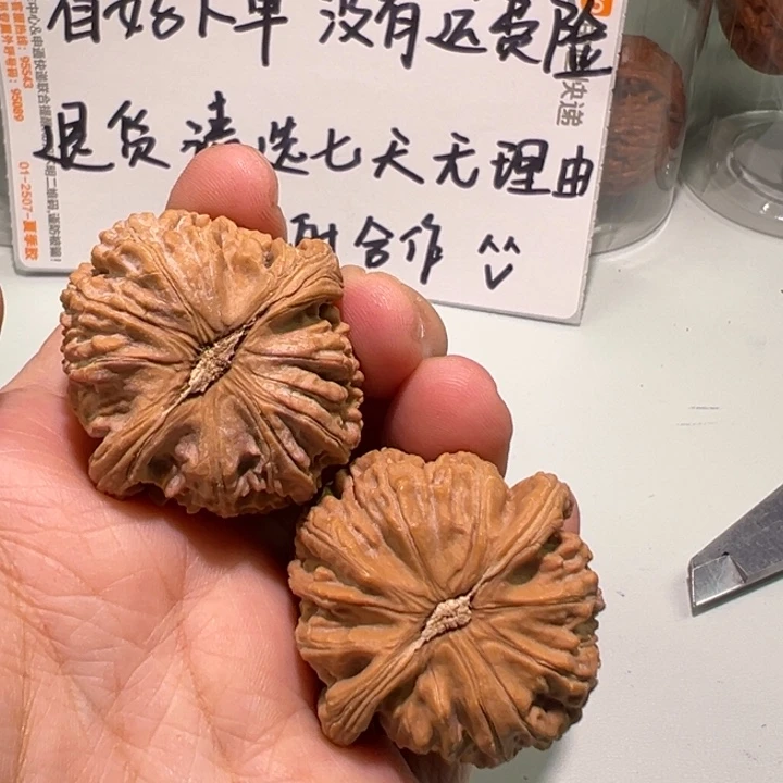 把件文玩核桃39白狮子