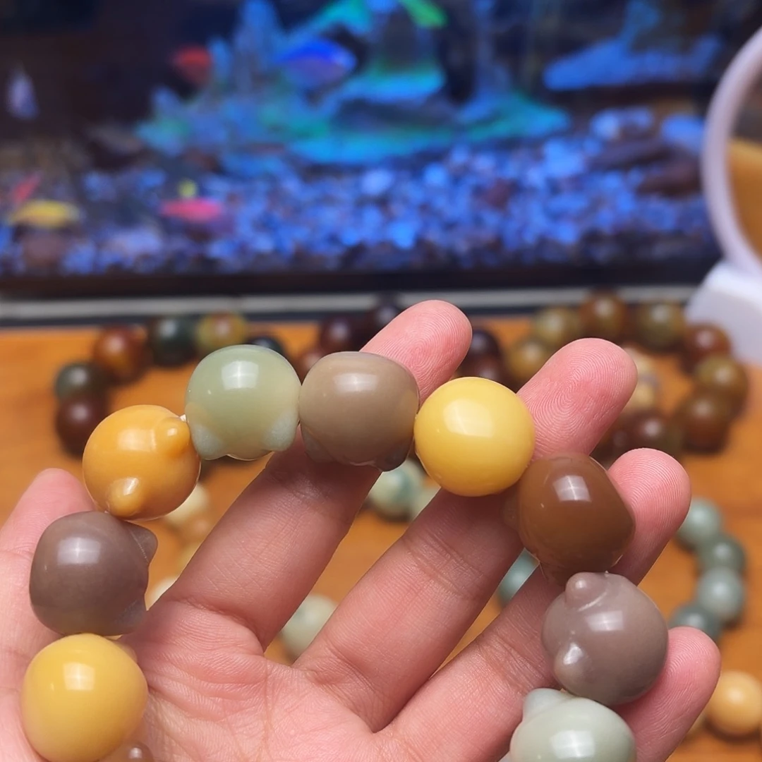 吊坠菩提根/象牙果