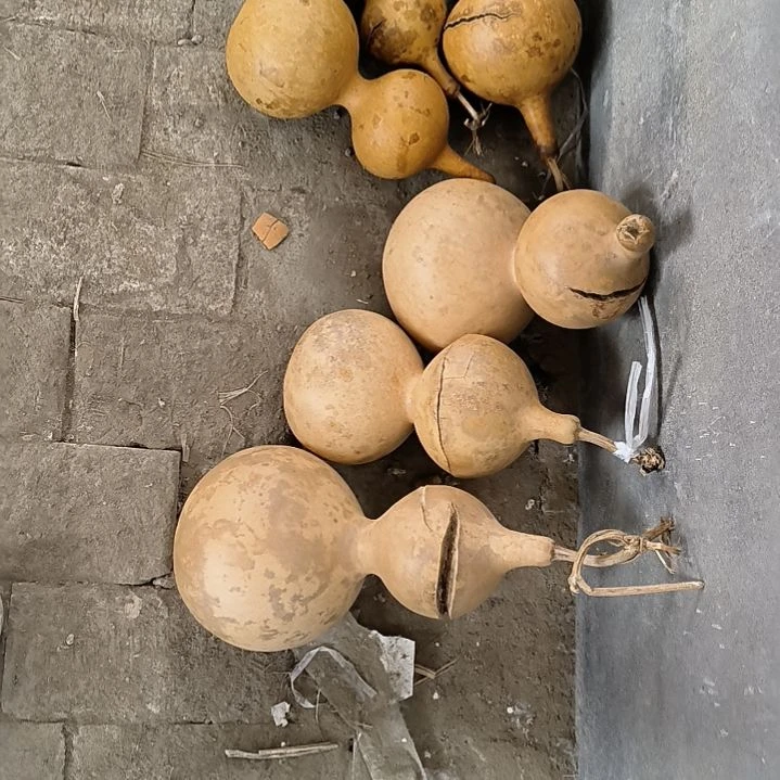 阿****）六个天裂瑕疵花皮开口笑葫芦出售