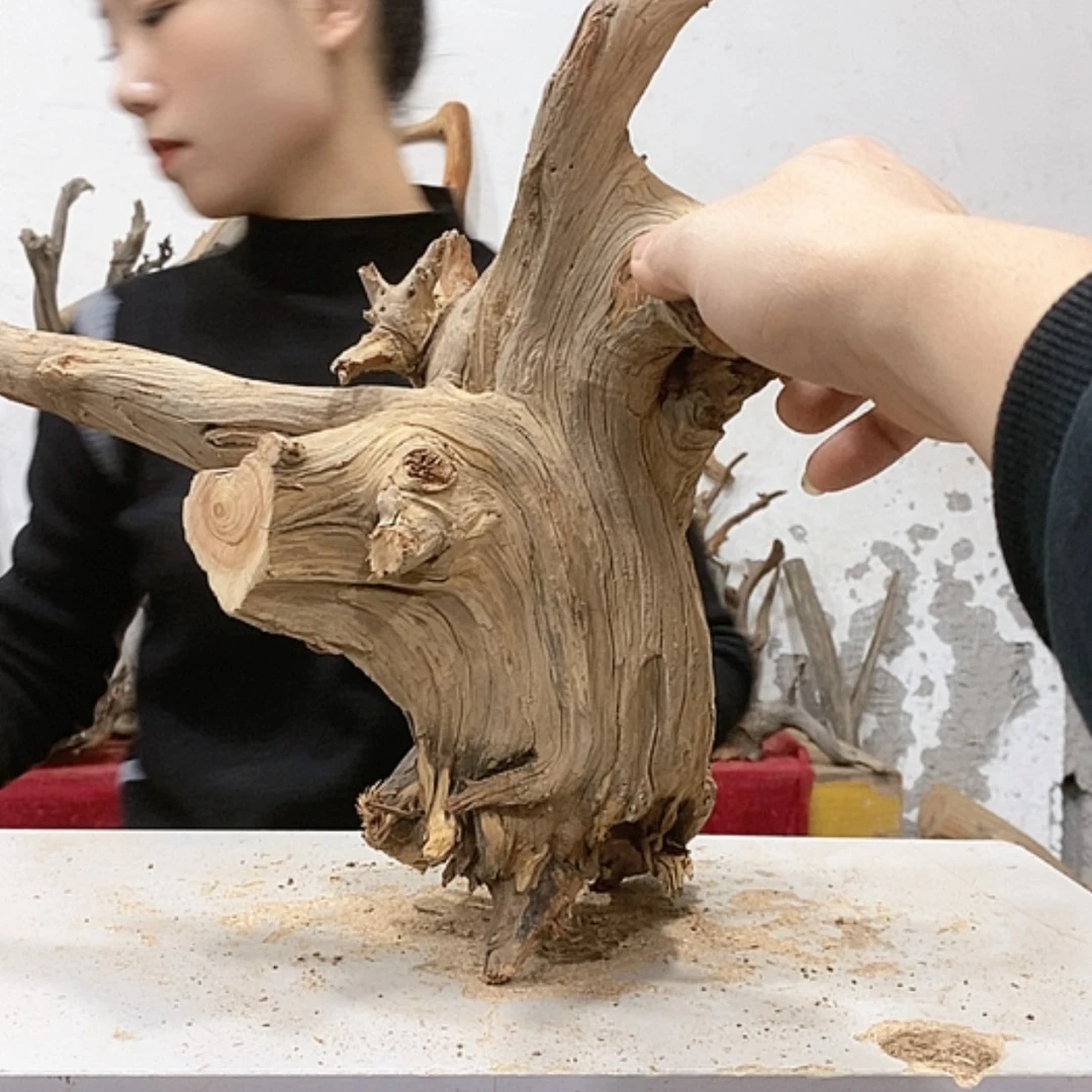 【闪购商品】柏木道**道我们都是好孩子