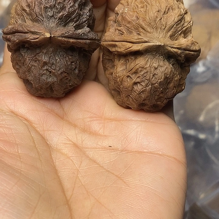 文玩核桃把件云南铁核桃15