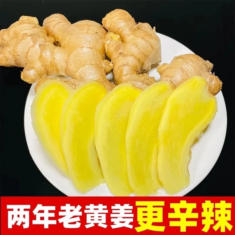 【力推5斤】老姜云南小黄姜新鲜生姜现挖高山沙姜老姜土姜0.5-9斤