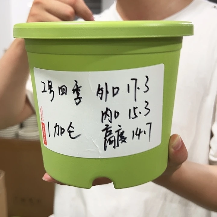 特价2号口17高15果绿10只无托