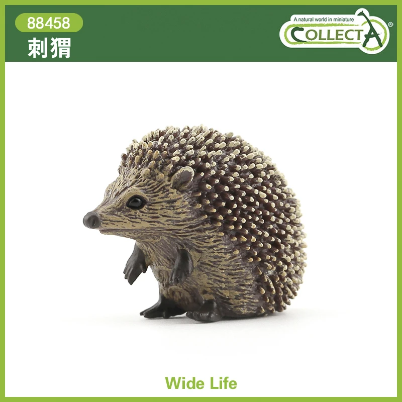 英国CollectA我你他仿真野生动物模型玩具儿童认知礼品88458刺猬