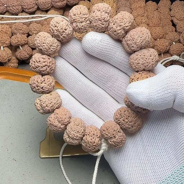 菩提籽类22夹板菠萝蜜