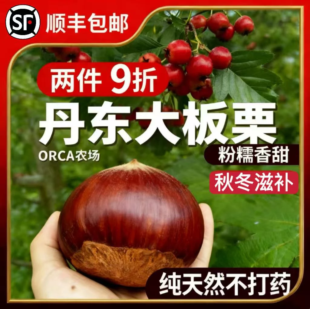 丹东老树大板栗新鲜饱满粉糯甜新鲜栗子2025生栗滋补炖汤难剥皮
